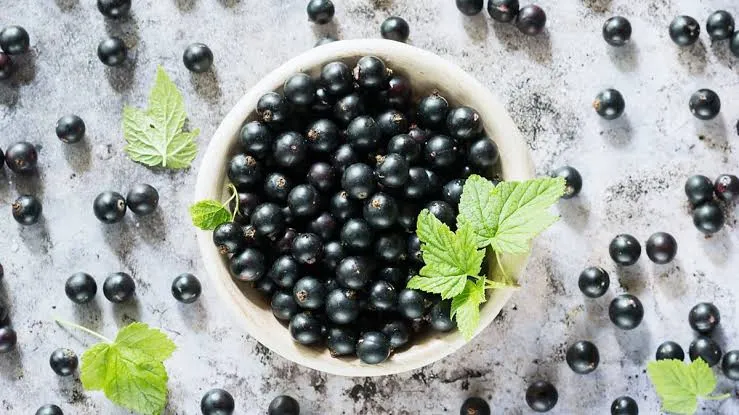 Blackberry-Flavour-Compound-Analysis